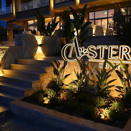 Asters Hotell 4*