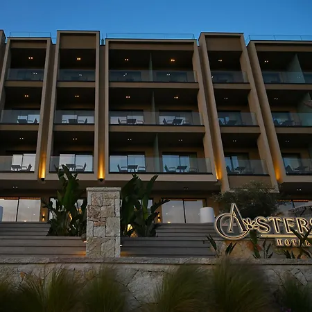 Asters Hotell 4*