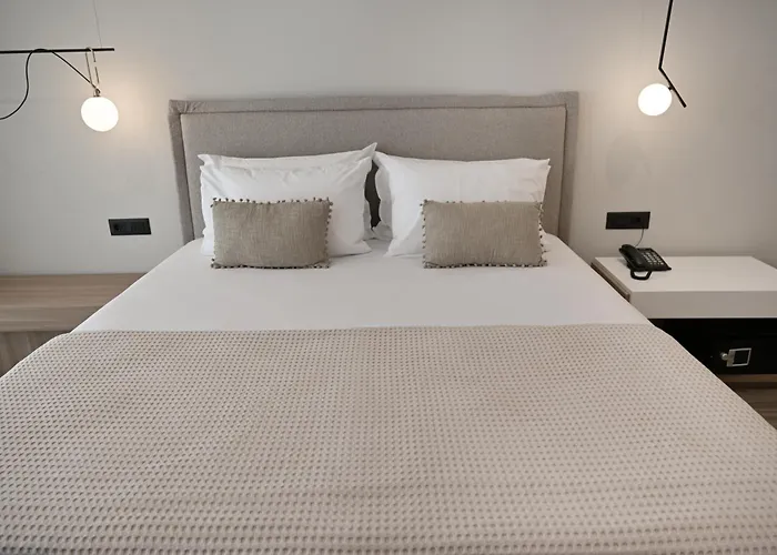 酒店 Asters 卡萨米尔